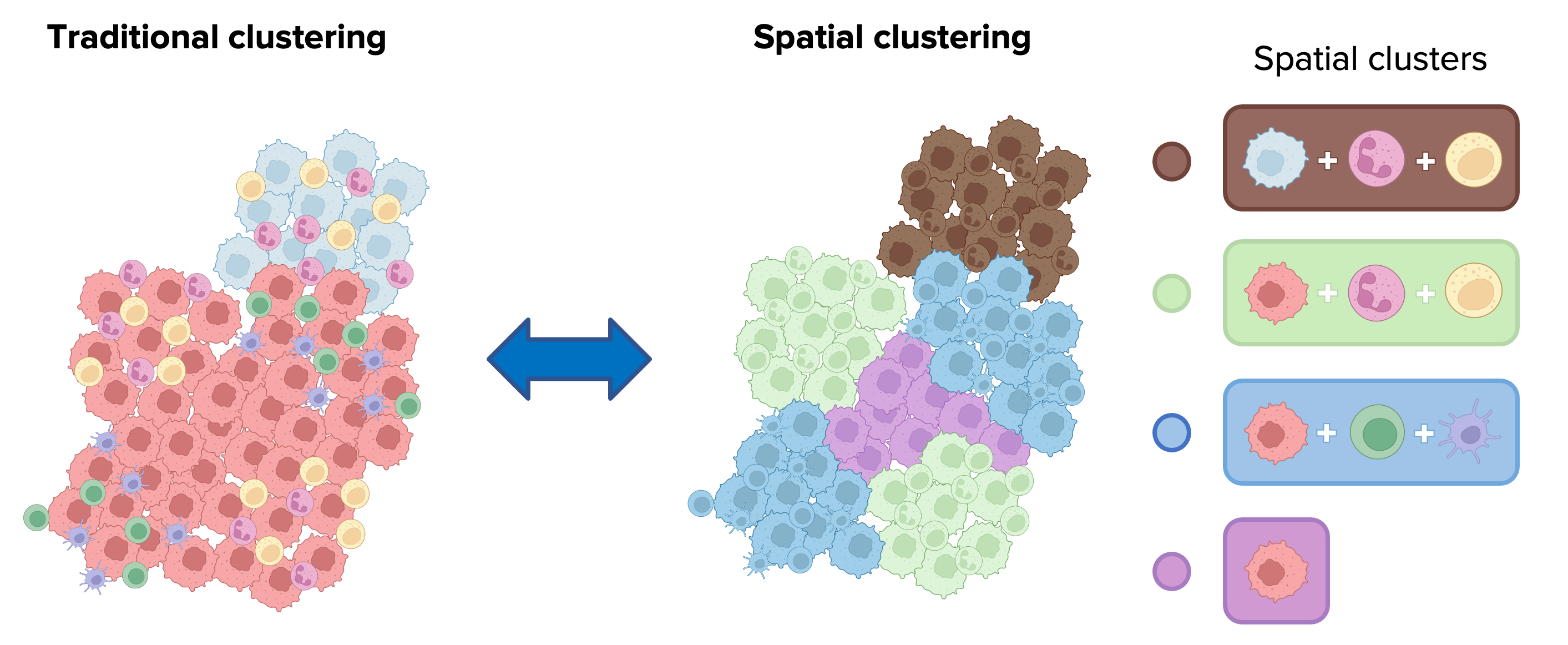 Spatial Omics Analysis